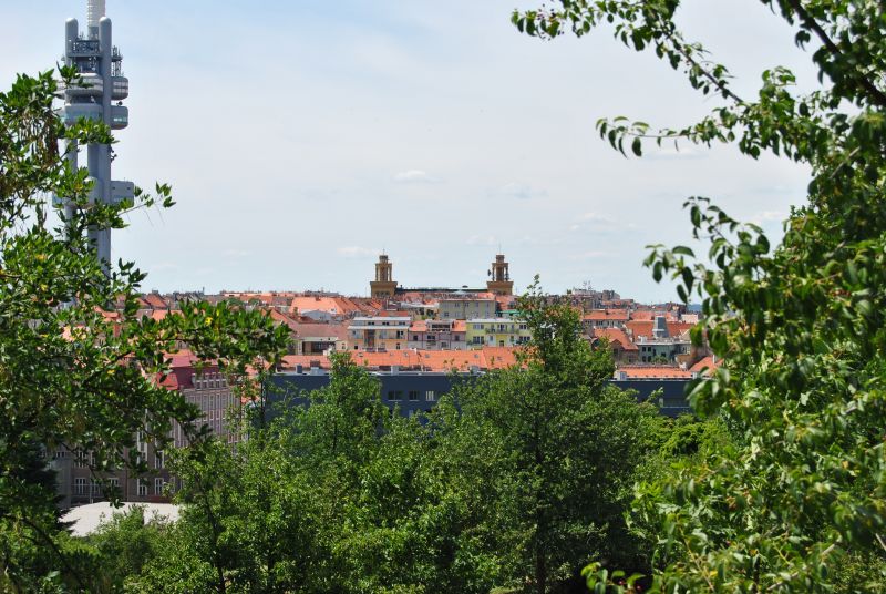 pepajs.cz